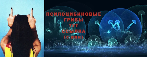 стаф Алексин