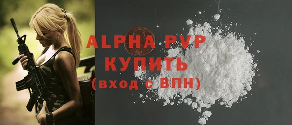 стаф Алексин