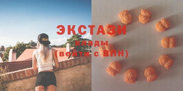 стаф Алексин