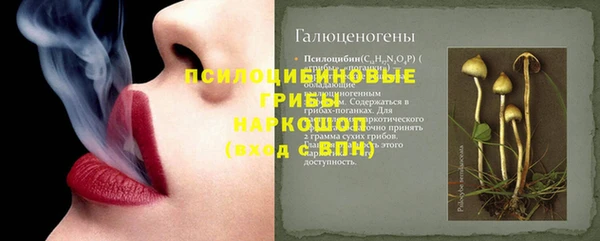 стаф Алексин
