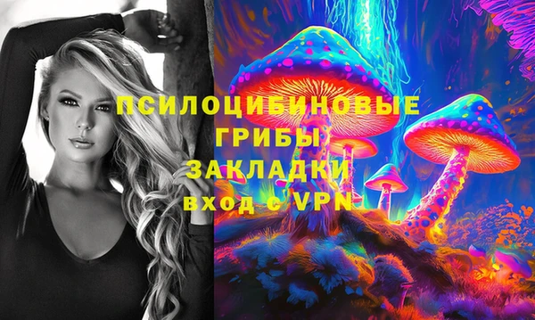 стаф Алексин