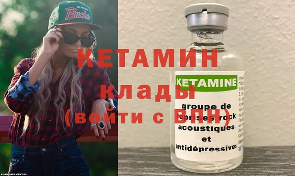 стаф Алексин