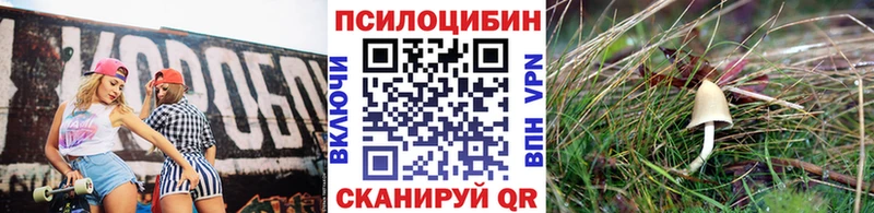 Галлюциногенные грибы MAGIC MUSHROOMS Санкт-Петербург